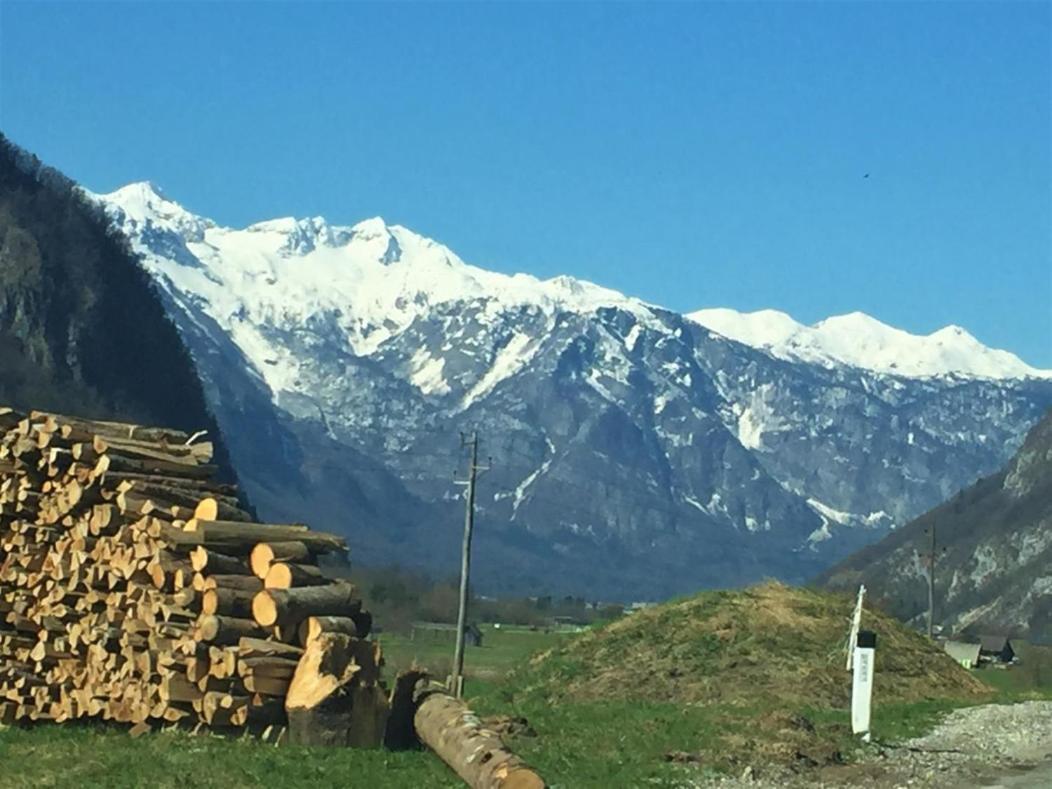 דירות Bohinj Barn מראה חיצוני תמונה